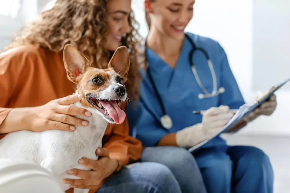 female pet parent pets her smiling terrior dog while speaking with a female veterinarian